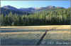 BIG_MEADOW_S33_th_b.JPG (135247 bytes)